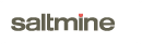 Saltmine logo 2000